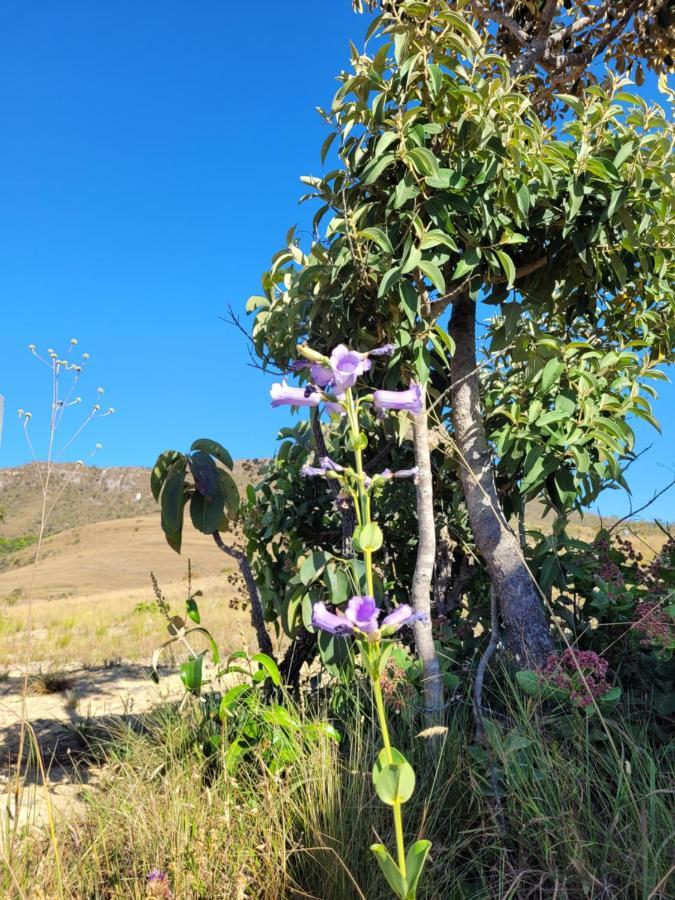 Chales Recanto Da Baleia Alto Paraíso de Goiás Екстериор снимка